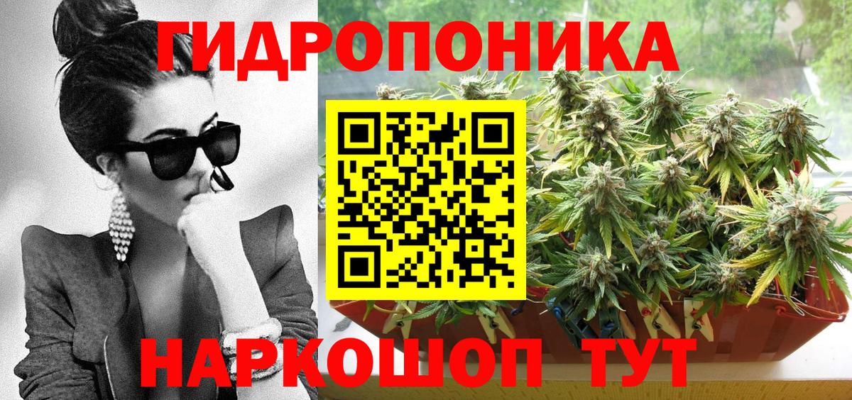 Шишки марихуана планчик Фролово